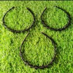 Spring Hair Bands 2pcs