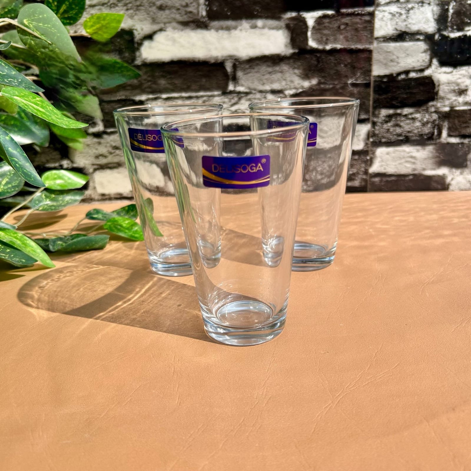 WhatsApp Image 2026-01-14 at 11.18.08 AM