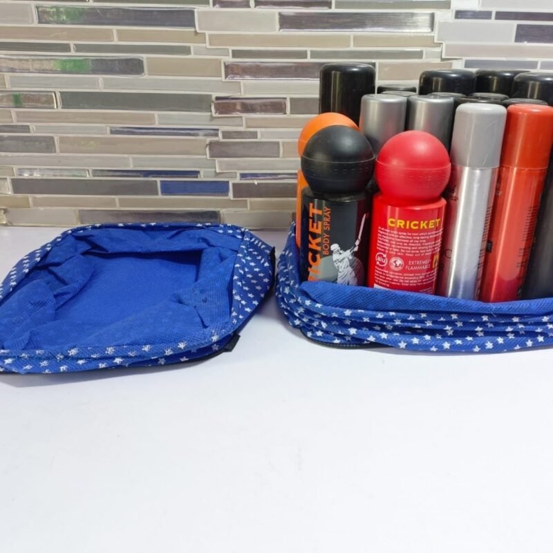 Folding organizer