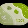 Non slip floor mat (water absorbing)