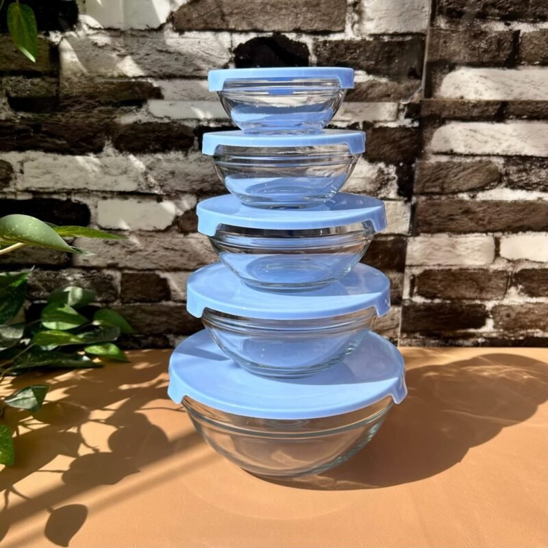Bowl set with lid (5pcs)