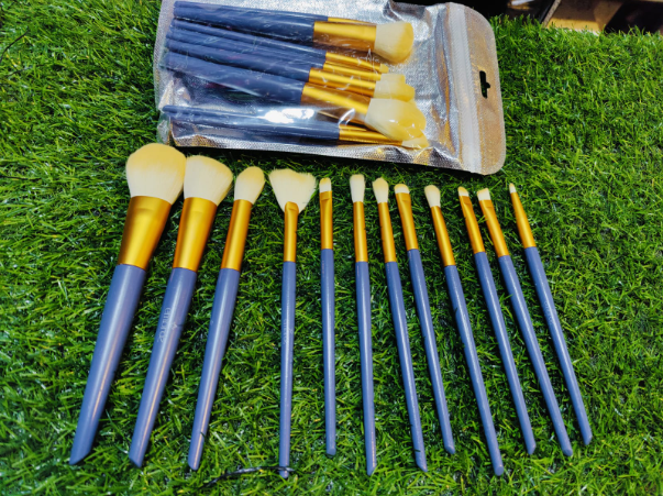 Embroz 12 pieces makeup brushes set