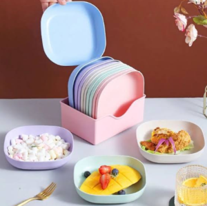 pla.png 10 pieces snacks plates set