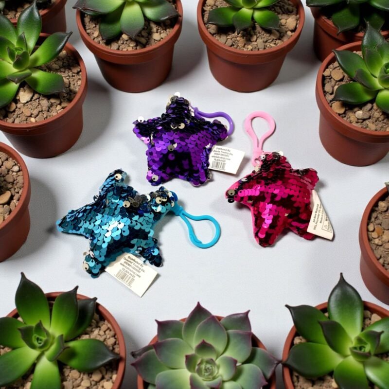 Sequence star Keychain (2pcs)