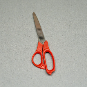 Kitchen scissor
