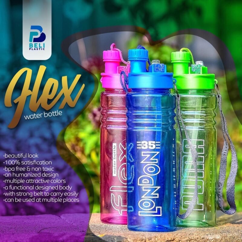 water bottle (650ml)