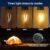 Rechargeable bulb